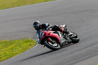 PJ-Motorsport-2019;anglesey-no-limits-trackday;anglesey-photographs;anglesey-trackday-photographs;enduro-digital-images;event-digital-images;eventdigitalimages;no-limits-trackdays;peter-wileman-photography;racing-digital-images;trac-mon;trackday-digital-images;trackday-photos;ty-croes